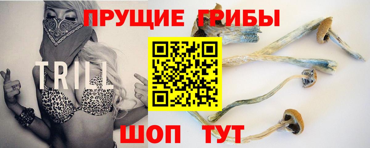 Галлюциногенные грибы GOLDEN TEACHER  Вход с VPN  Липецк 